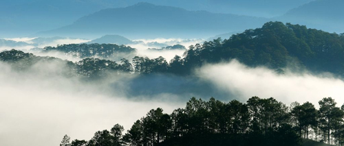 Da Lat – Elysium in fog